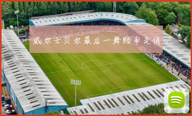 威尔士贝尔最后一舞赔率走俏