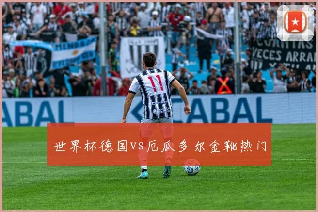 世界杯德国vs厄瓜多尔金靴热门