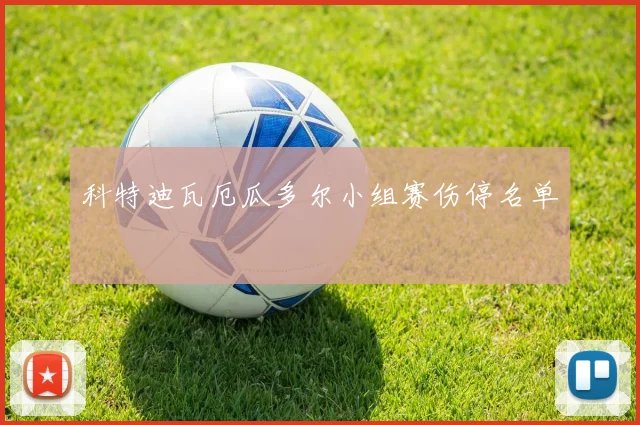 科特迪瓦厄瓜多尔小组赛伤停名单