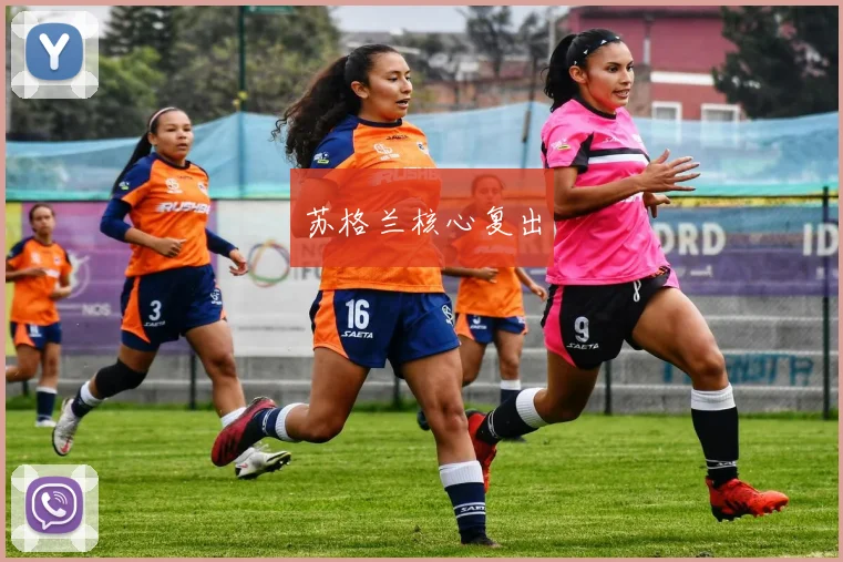 苏格兰核心复出